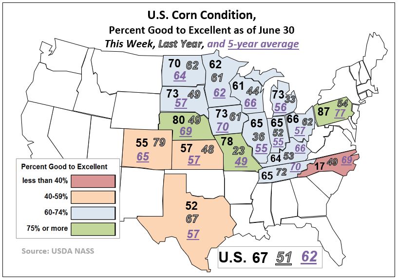 Soybean, Wheat Futures Rally; Crop Ratings Mixed The Brock Report