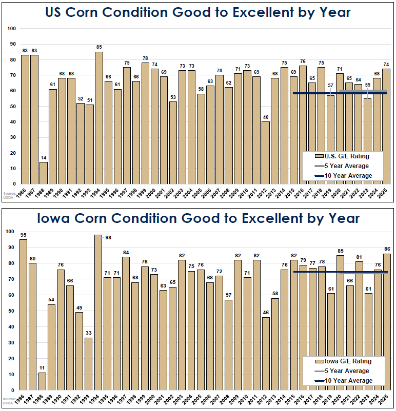 Corn Condition Ratings & Final Yields | The Brock Report